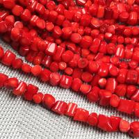 Perles en corail naturel, pilier, DIY, rouge, 6x8mm, Vendu par brin