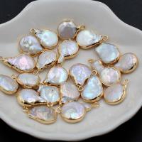 Freshwater Pearl Pendants, DIY, white, 13x17mm, Sold By PC