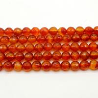 Prirodni Red ahat perle, Red Agate, Krug, uglađen, možete DIY & različite veličine za izbor, crven, Prodano By Strand