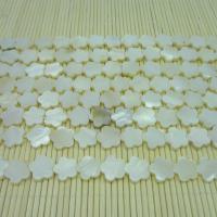 Natural White Shell Beads Plum Blossom polished DIY white Sold By Strand