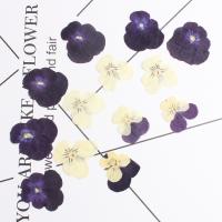 الزهور المجففة مجموعة قوالب الايبوكسي, مطلي, المستدامه & ديي, المزيد من الألوان للاختيار, 2-3cm, تباع بواسطة PC