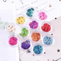Dried Flower Epoxy Mold Set, plated, durable & DIY, more colors for choice, 10mm, 10PCs/Bag, Sold By Bag
