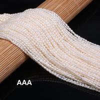 Cultured Rice Freshwater Pearl Beads irregular natural DIY white 2-2.5mm Sold By Strand