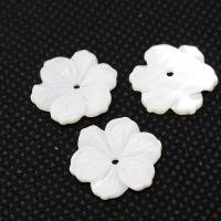 Natural Freshwater Shell Beads Flower plated DIY 16*2mm Sold By PC