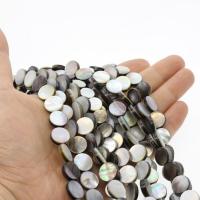 Black Shell Beads Round polished DIY multi-colored Sold By Strand