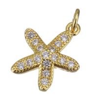 Cubic Zirconia Micro Pave Brass Pendant, Starfish, gold color plated, micro pave cubic zirconia, 11x14.50x3mm, Hole:Approx 2.5mm, 20PCs/Lot, Sold By Lot
