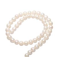 Cultured Round Freshwater Pearl Beads, natural, different styles for choice, 7-8mm, Hole:Approx 0.8mm, Sold Per Approx 15 Inch, Approx 15.7 Inch Strand