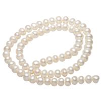 Brambor pěstované sladkovodní perle, Sladkovodní Pearl, přírodní, bílý, 6mm, Otvor:Cca 0.8mm, Prodáno za Cca 15 inch Strand