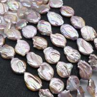 Perles nacres baroques de culture d'eau douce , perle, Irrégulière, poli, DIY, violet, 20-25*16-18mm, 15PC/brin, Vendu par Environ 37 cm brin