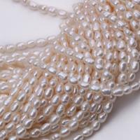 Cultured Rice Freshwater Pearl Beads Ellipse polished DIY 2.5mm-3mm Sold By Strand
