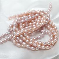 Cultured Rice Freshwater Pearl Beads natural purple 6-7mm 13*8cm Approx 0.8mm Sold Per Approx 15.5 Inch Strand