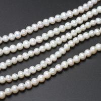 Baroko Kultūringas gėlavandenių perlų karoliukai, Gėlo vandens perlų, "Nuggets", natūralus, baltas, 6-7mm,10*7cm, Skylė:Apytiksliai 0.8mm, Parduota už Apytiksliai 15.5 Inch Strand