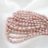 Cultured Rice Freshwater Pearl Beads, natural, purple, 3-4mm,10*7cm, Hole:Approx 0.8mm, Sold Per Approx 15.7 Inch Strand