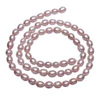 Cultured Rice Freshwater Pearl Beads, natural, purple, 4-5mm,10*7cm, Hole:Approx 0.8mm, Sold Per Approx 15.3 Inch Strand
