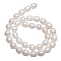 Cultured Potato Freshwater Pearl Beads, natural, white, 10-11mm,15*10.6cm, Hole:Approx 0.8mm, Sold Per Approx 15 Inch Strand