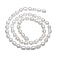 Cultured Rice Freshwater Pearl Beads, natural, white, 5-6mm,13*8cm, Hole:Approx 0.8mm, Sold Per Approx 15 Inch Strand