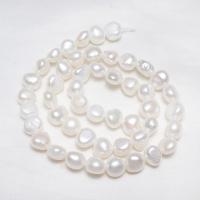 Perles nacres baroques de culture d'eau douce , perle d'eau douce cultivée, pepite, naturel, blanc, 8-9mm,13*8cm, Trou:Environ 0.8mm, Vendu par 15.3 pouce brin