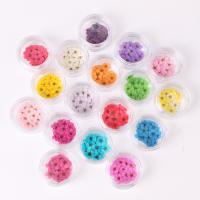 DIY Epoxy Mold Set, Dried Flower, plated, durable & fashion jewelry, more colors for choice, 6mm, 20PCs/Box, Sold By Box