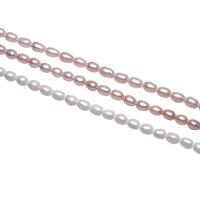 Cultured Potato Freshwater Pearl Beads, natural, different styles for choice, 4-5mm, Hole:Approx 0.8mm, Sold By Strand