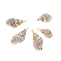 Natural Trumpet Shell Pendants, Conch, gold color plated, DIY, light purple, 25*12*10-15*5*5mm, 50PCs/Bag, Sold By Bag