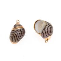 Natural Trumpet Shell Pendants, Conch, plated, DIY, beige, 21*14*12mm, Hole:Approx 2mm, 50PCs/Bag, Sold By Bag