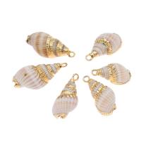 Natural Trumpet Shell Pendants, Conch, plated, DIY, white, 22*12*10mm, Hole:Approx 2mm, 50PCs/Bag, Sold By Bag