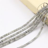 Natural Labradorite Beads, Flat Round, polished, DIY, 2x4mm, Sold By Strand