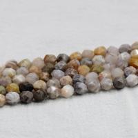Agat perler, Bamboo Agate, poleret, du kan DIY & forskellig størrelse for valg & facetteret, Solgt af Strand