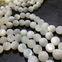 White Lip Shell Beads Round DIY white Sold By Strand