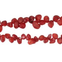 Natürliche Korallen Perlen, rote Orange, 7-13x10-13x6-11mm, ca. 54PCs/Strang, verkauft per ca. 17 ZollInch Strang