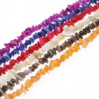 Gemstone Chips, Shell, DIY & different size for choice, more colors for choice, Sold By Strand