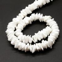 Natural White Shell Kralen, Schelp, DIY, wit, 5*5*1mm, 50strengen/Bag, Verkocht door Bag