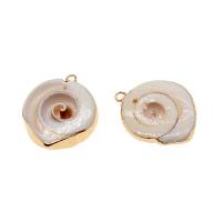 Natural Trumpet Shell Pendants plated DIY beige 31*24*6mm Sold By Bag