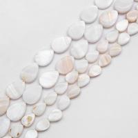 Perline conchiglia in bianco naturale , bianco conchiglia, Lacrima, lucido, DIY & formato differente per scelta & glassato, Venduto per Appross. 15 pollice filo