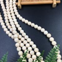 Gemstone Jewelry Beads Howlite Round polished DIY white Sold By Bag