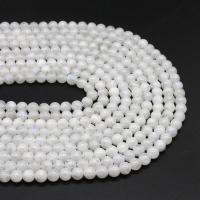 Moonstone Beads, Nat-lys + sten, Runde, poleret, du kan DIY & forskellig størrelse for valg, hvid, Solgt af Strand