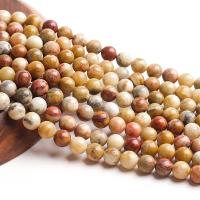 Naturlig Crazy Agate perler, forgyldt, mode smykker & du kan DIY & forskellig størrelse for valg, Solgt af Strand