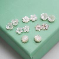 Perles en coquillage blanc naturel, coquille blanche, gravé, DIY & styles différents pour le choix, plus de couleurs à choisir, 6mm, Vendu par PC