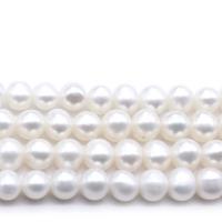 Perlas Redondas Freshwater, Perlas cultivadas de agua dulce, Bricolaje & diverso tamaño para la opción, Blanco, Vendido por Sarta