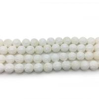 Natural White Shell Beads, Lotus, polished, DIY & different size for choice, white, Sold By Strand