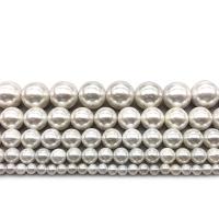 Perles de coquille colore naturelle, Rond, poli, DIY & normes différentes pour le choix, blanc, Vendu par brin