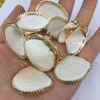Shell Pendants with Brass gold color plated DIY white 25x35- Sold By PC