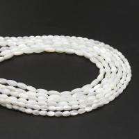 Perles en coquillage blanc naturel, coquille, ellipse, DIY & normes différentes pour le choix, plus de couleurs à choisir, Vendu par brin