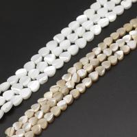 Natural White Shell Beads Flat Round DIY Sold By Strand