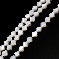 Perles en coquillage blanc naturel, coquille, Trèfle à quatre feuilles, DIY & normes différentes pour le choix, blanc, Vendu par brin