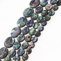 Abalone -Shell-Beads, conchiglia, Cerchio, DIY & formato differente per scelta, colori misti, Venduto da filo