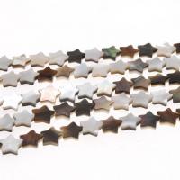 Black Shell Perler, Stjerne, du kan DIY & forskellig størrelse for valg, blandede farver, Solgt af Strand
