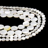 Natural White Shell Beads Round DIY white Sold By Strand