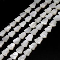 White Lip Shell Beads, Fan, DIY, white, 12*12*2mm, Sold By Strand
