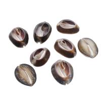 Natural Trumpet Shell Pendants, Conch, DIY, brown, 32*24*8mm, Hole:Approx 1mm, Approx 110PCs/Bag, Sold By Bag